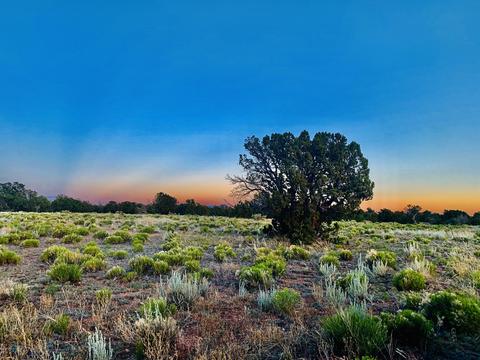 4937 E Vernon Rd, Williams, AZ 86046 photo 6