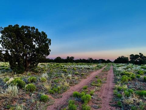 4937 E Vernon Rd, Williams, AZ 86046 photo 8