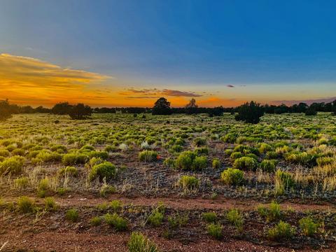 4937 E Vernon Rd, Williams, AZ 86046 photo 7