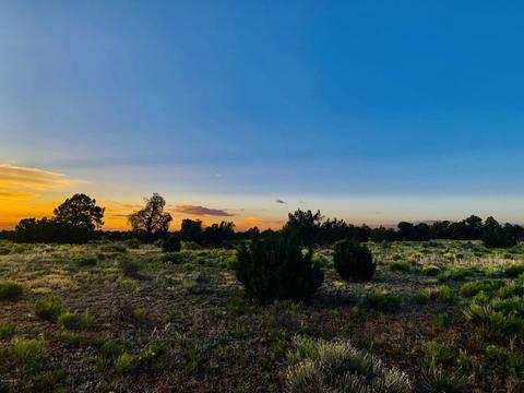 4937 E Vernon Rd, Williams, AZ 86046 photo 10