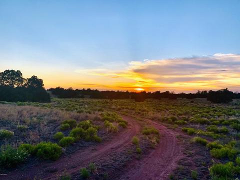 4937 E Vernon Rd, Williams, AZ 86046 photo 5