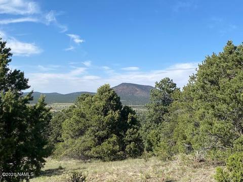 1535 E Lomaki Ln, Williams, AZ 86046 photo 5
