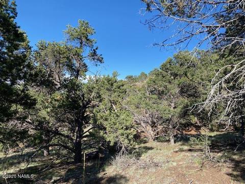 1535 E Lomaki Ln, Williams, AZ 86046 photo 29