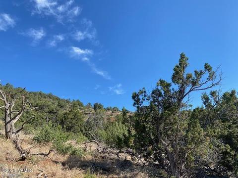 1535 E Lomaki Ln, Williams, AZ 86046 photo 18