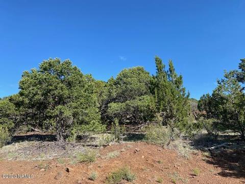 1535 E Lomaki Ln, Williams, AZ 86046 photo 3