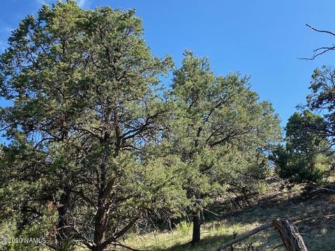 1535 E Lomaki Ln, Williams, AZ 86046 photo 15
