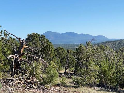 1535 E Lomaki Ln, Williams, AZ 86046 photo 31