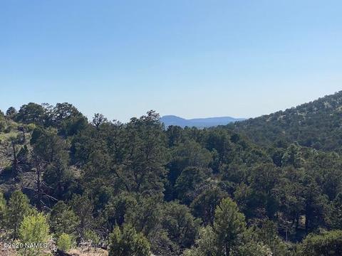 1535 E Lomaki Ln, Williams, AZ 86046 photo 23