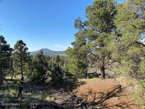 1535 E Lomaki Ln, Williams, AZ 86046 photo 28