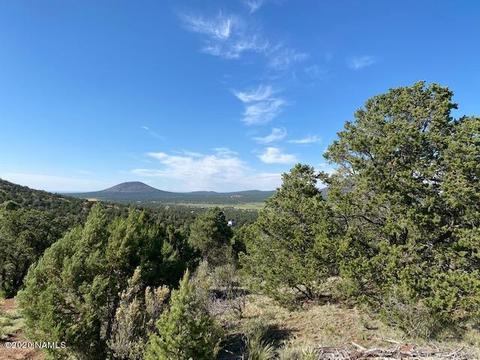 1535 E Lomaki Ln, Williams, AZ 86046 photo 12