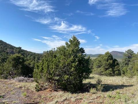 1535 E Lomaki Ln, Williams, AZ 86046 photo 4