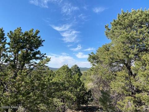 1535 E Lomaki Ln, Williams, AZ 86046 photo 8