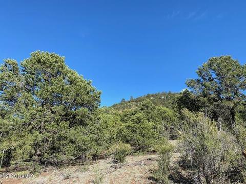 1535 E Lomaki Ln, Williams, AZ 86046 photo 6
