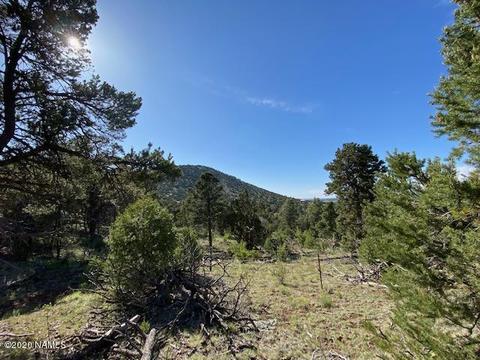 1535 E Lomaki Ln, Williams, AZ 86046 photo 16