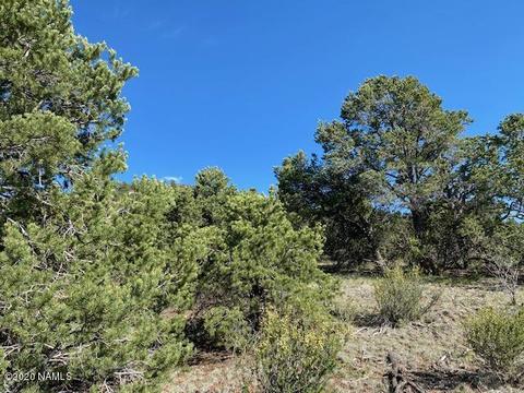 1535 E Lomaki Ln, Williams, AZ 86046 photo 10