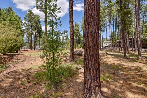 2016 S Thompson Loop, Flagstaff, AZ 86001 photo 23