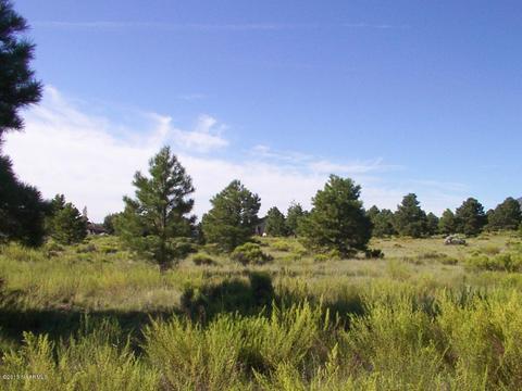 5560 E Atkinson Rd, Flagstaff, AZ 86004 photo 2