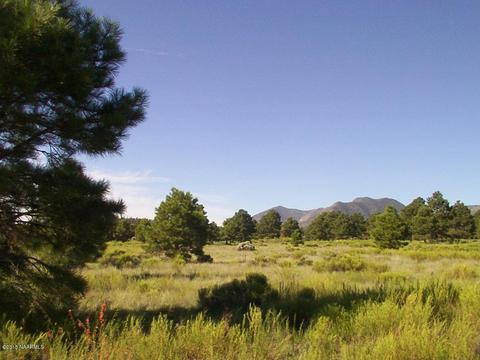 5560 E Atkinson Rd, Flagstaff, AZ 86004 photo 1