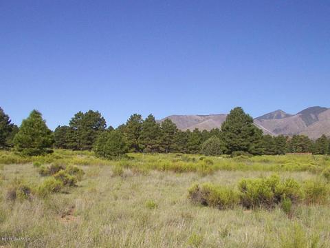 5560 E Atkinson Rd, Flagstaff, AZ 86004 photo 7