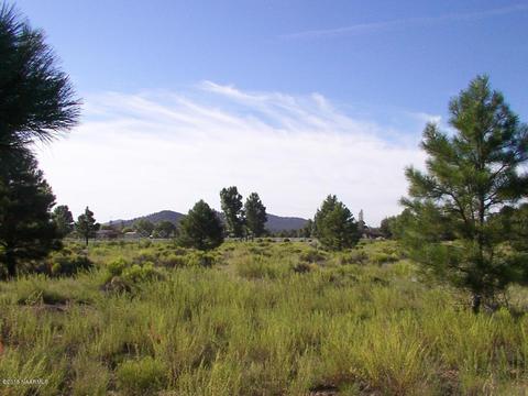 5560 E Atkinson Rd, Flagstaff, AZ 86004 photo 3