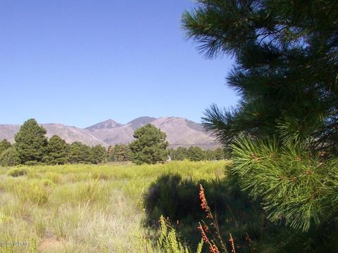 5560 E Atkinson Rd, Flagstaff, AZ 86004 photo 9