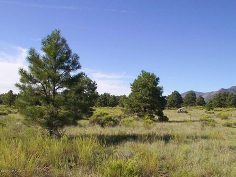 5560 E Atkinson Rd, Flagstaff, AZ 86004 photo 4