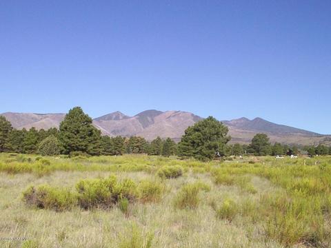 5560 E Atkinson Rd, Flagstaff, AZ 86004 photo 5