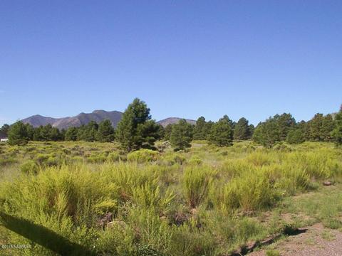 5560 E Atkinson Rd, Flagstaff, AZ 86004 photo 10