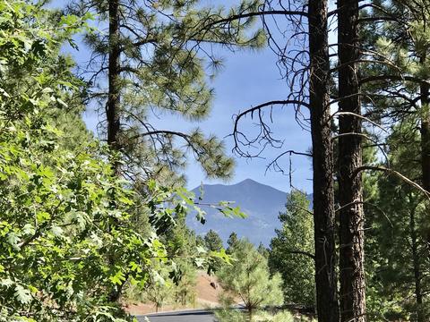 4810 Snaffle Bit, Flagstaff, AZ 86005 photo 8