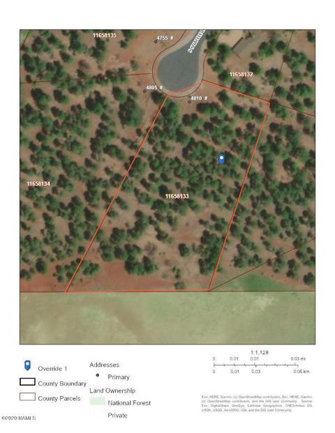 4810 Snaffle Bit, Flagstaff, AZ 86005 photo 10