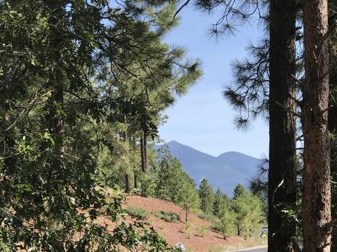 4810 Snaffle Bit, Flagstaff, AZ 86005 photo 1