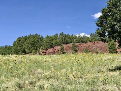 4810 Snaffle Bit, Flagstaff, AZ 86005 photo 7