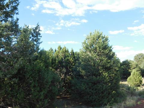 7130 N Apache Ave, Williams, AZ 86046 photo 1