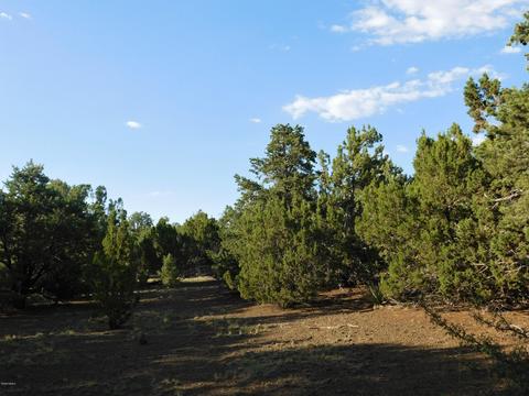 7130 N Apache Ave, Williams, AZ 86046 photo 6