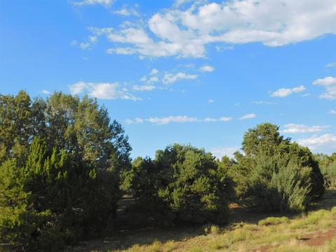 7130 N Apache Ave, Williams, AZ 86046 photo 3