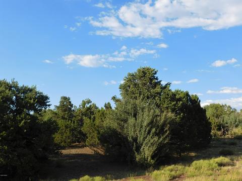 7130 N Apache Ave, Williams, AZ 86046 photo 4