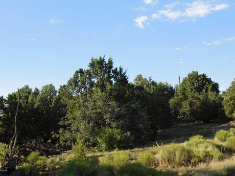 7130 N Apache Ave, Williams, AZ 86046 photo 7