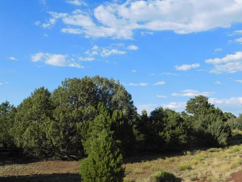7130 N Apache Ave, Williams, AZ 86046 photo 2