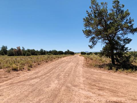 2140 S Spring St, Williams, AZ 86046 photo 1