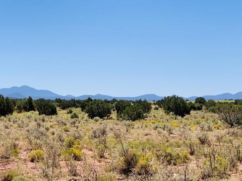2140 S Spring St, Williams, AZ 86046 photo 5