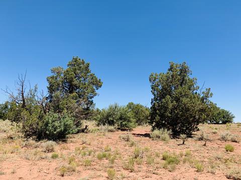 2140 S Spring St, Williams, AZ 86046 photo 6
