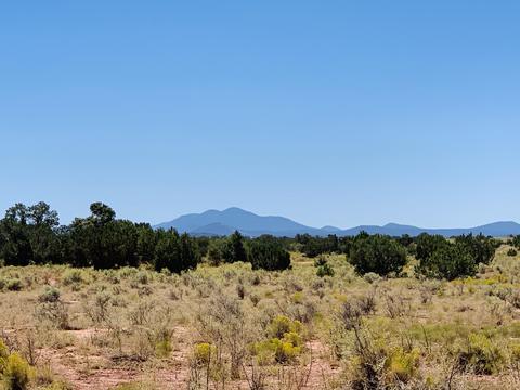 2140 S Spring St, Williams, AZ 86046 photo 2