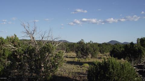 4354 Whitetail Loop, Williams, AZ 86046 photo 5