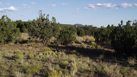 4354 Whitetail Loop, Williams, AZ 86046 photo 2