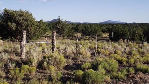 4354 Whitetail Loop, Williams, AZ 86046 photo 4