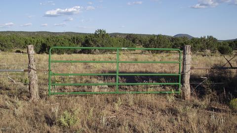 4354 Whitetail Loop, Williams, AZ 86046 photo 1