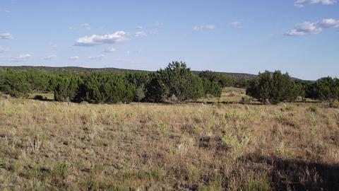 4354 Whitetail Loop, Williams, AZ 86046 photo 7