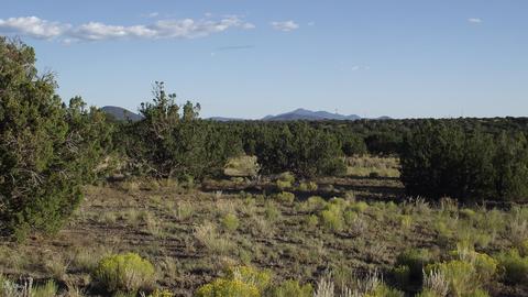4354 Whitetail Loop, Williams, AZ 86046 photo 3