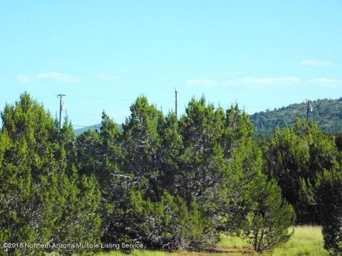 256 E Riverside Dr, Williams, AZ 86046 photo 7