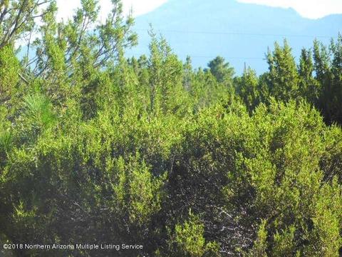 256 E Riverside Dr, Williams, AZ 86046 photo 2